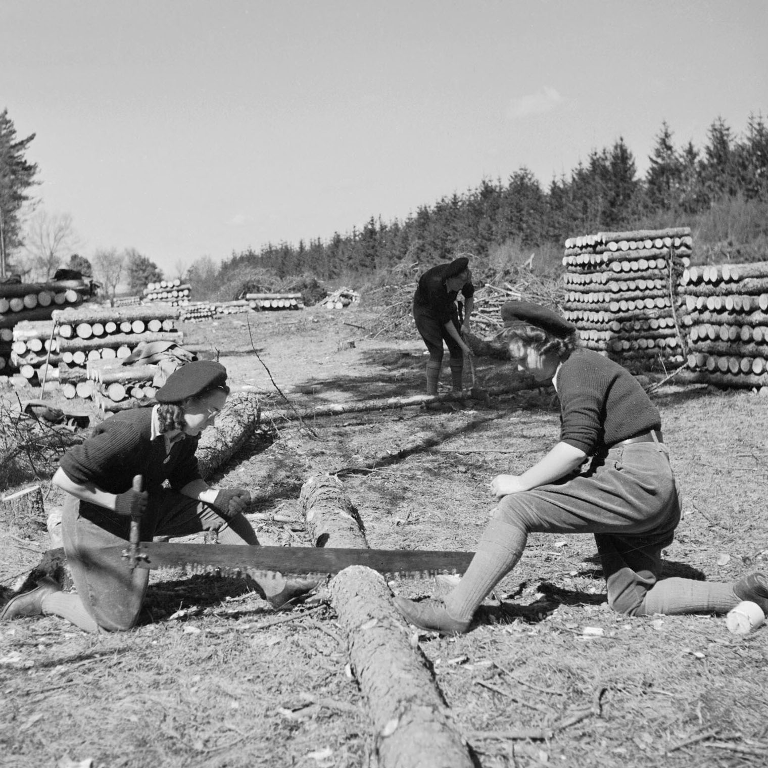 Leiston and Sizewell's Wartime Memories Project- Display